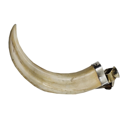 123 - Novelty boar tusk and silver cigar cutter, 14cm long