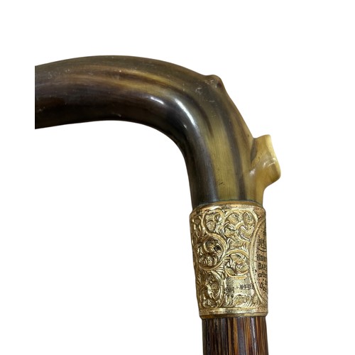 643 - Horn handle and silver gilt applied walking cane, the plaque 'presented to J. Knowles for 22 years o... 