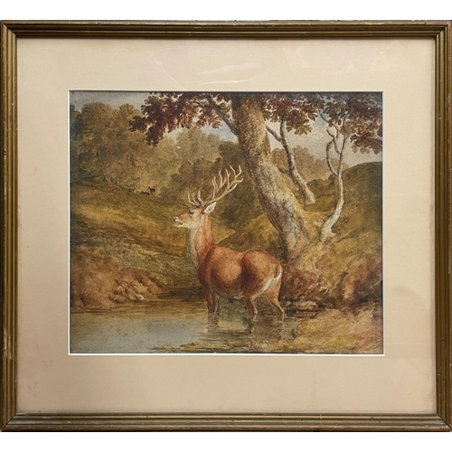 1565 - Robert Hills (1769-1844) - Stag in a clearing, labelled verso, watercolour, 32 x 39cm, framed