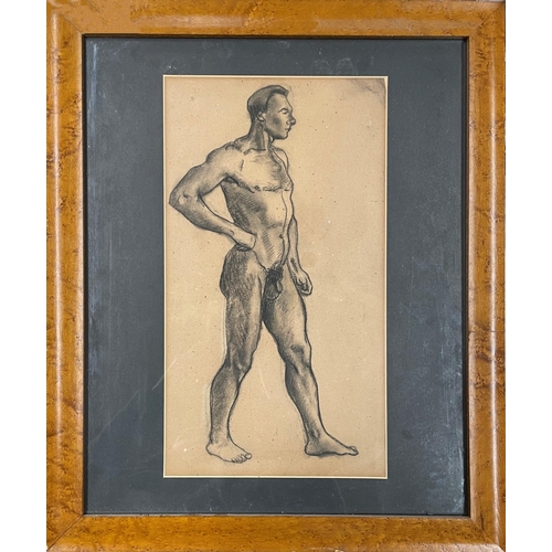 1552 - Early 20th century school - full length portrait of a standing male nude, unsigned, charcoal, 42 x 2... 