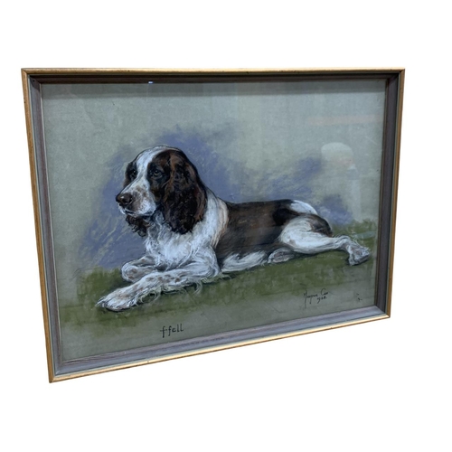 1475 - Marjorie Cox (1915-2003) portrait of a Cocker Spaniel, signed and dated, pastel, 50cm x 38cm, framed... 