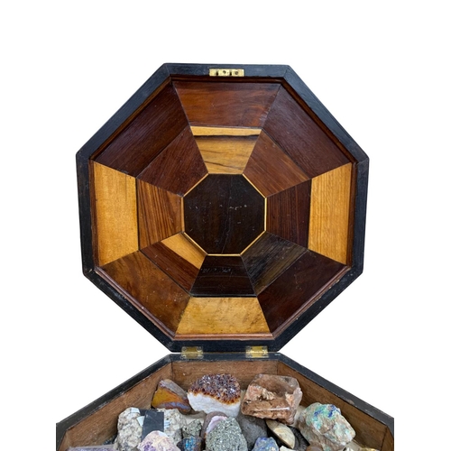 485 - Octagonal Regency mahogany box with marquetry inlay interior lid, having an extensive collection of ... 