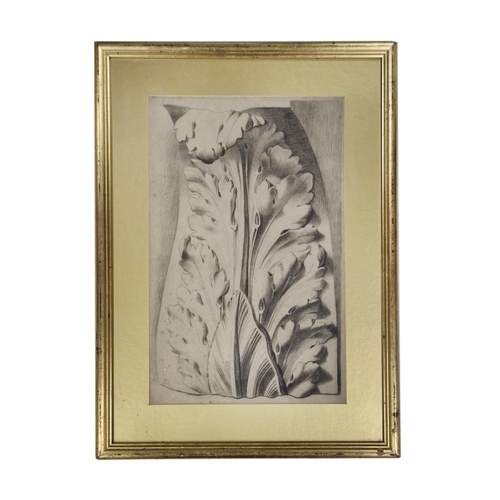 1457 - 19th century school - architectural study of an acanthus leaf, unsigned, graphite, 48 x 31cm, framed