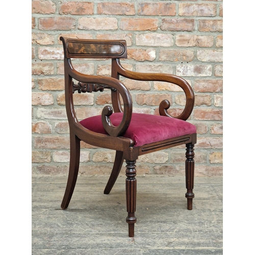 1239 - Set of six (4+2) Regency mahogany dining chairs with turned forelegs and drop in seats, H 86cm x W 5... 