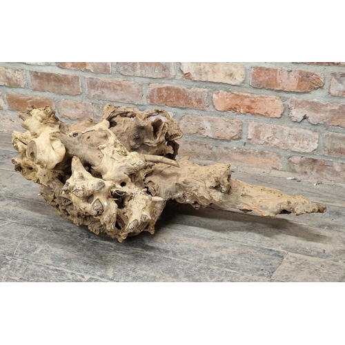 1303 - Rustic root wood sculpture, H 36cm x W 84cm