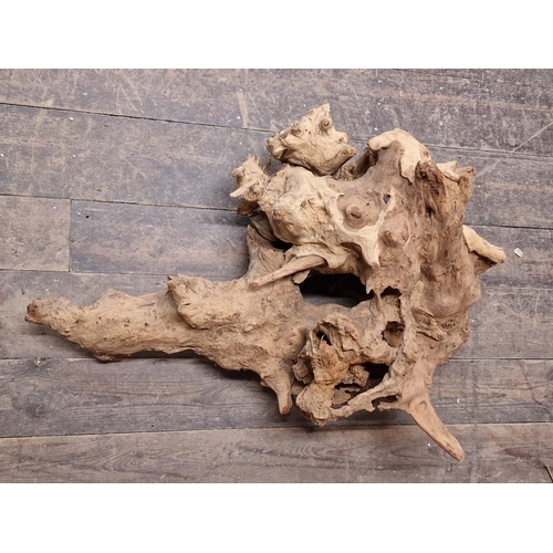 1303 - Rustic root wood sculpture, H 36cm x W 84cm