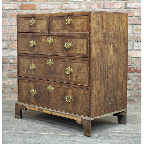 1342 - 18th century walnut chest of two short over three long drawers, raised on bracket supports, H 100cm ... 