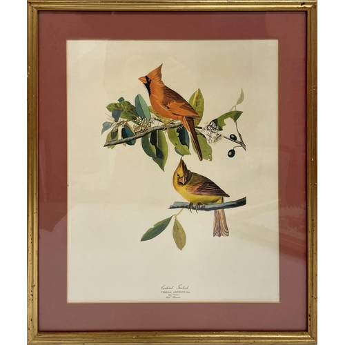 1576 - Three polychrome ornithological prints comprising Cardinal Grosbeak, Pileated Woodpecker and Mallard... 