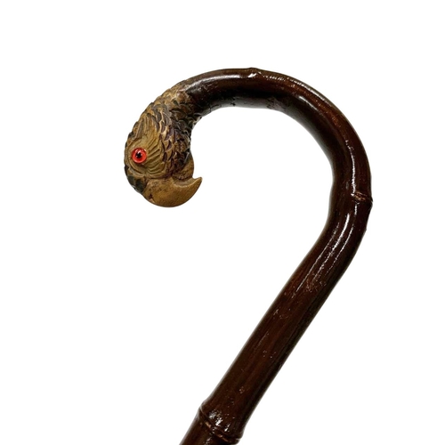 644 - Crook handled walking cane with carved parrot head terminal and inset glass eyes, having sanded down... 