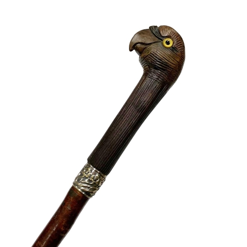 652 - Briarwood shaft walking cane with hardwood handle carved as a parrot head, having inset glass eyes a... 