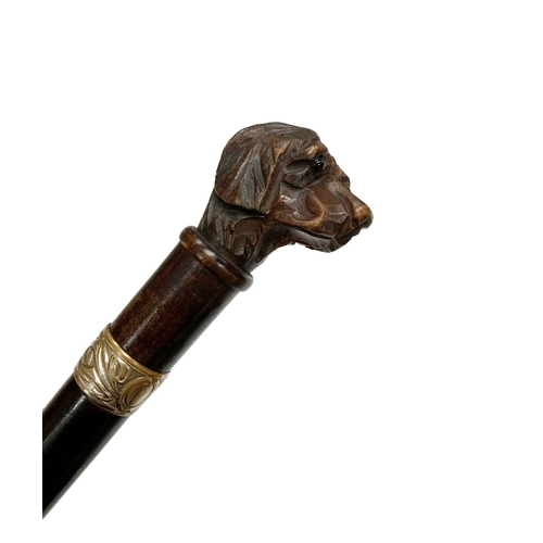 659 - Polished hardwood walking cane with hardwood handle carved as a dog head, having inset glass eyes wi... 