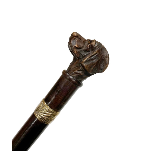 659 - Polished hardwood walking cane with hardwood handle carved as a dog head, having inset glass eyes wi... 