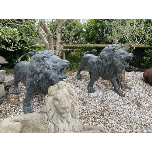 1 - Exceptional opposing pair of cast bronze standing roaring lions with well cast teeth, mane and tail,... 