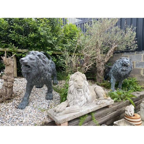 1 - Exceptional opposing pair of cast bronze standing roaring lions with well cast teeth, mane and tail,... 