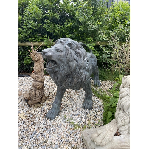 1 - Exceptional opposing pair of cast bronze standing roaring lions with well cast teeth, mane and tail,... 