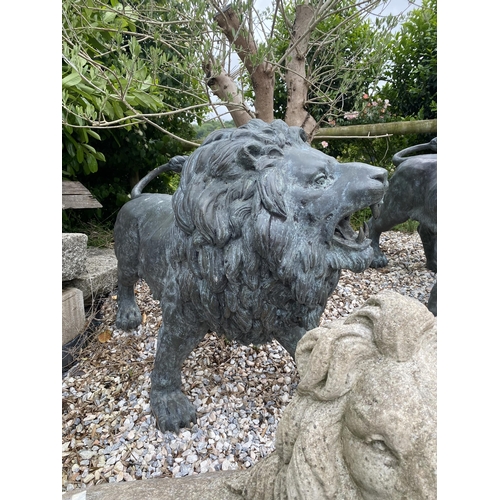 1 - Exceptional opposing pair of cast bronze standing roaring lions with well cast teeth, mane and tail,... 