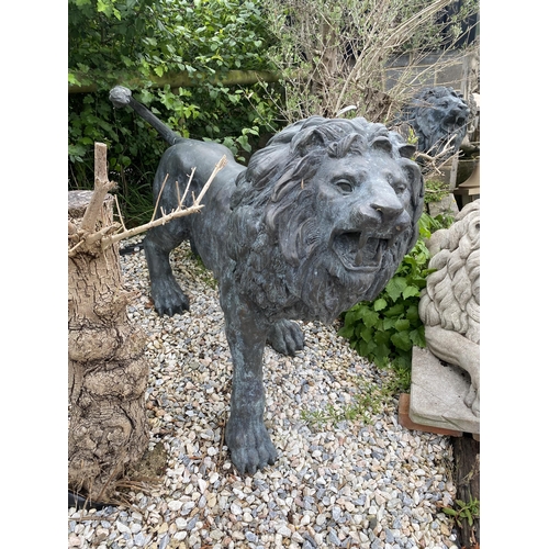 1 - Exceptional opposing pair of cast bronze standing roaring lions with well cast teeth, mane and tail,... 