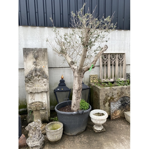 Lot 32        