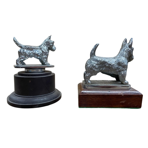 15 - Car mascot - Standing Scottie dog, chrome plated, on mahogany plinth, 10cm long and another by Desmo... 