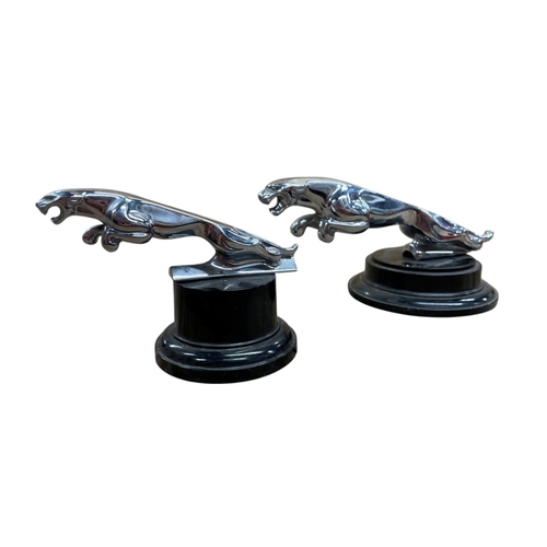 18 - Car mascot - Jaguar, cast chromed metal, on wooden plinth, 20cm long, with similar smaller example, ... 
