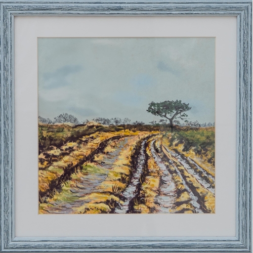 32 - Kerry Johnstone - Woodbury Common, Signed Original Pastel (Framed), 28 x 28 cm square

Kerry Johnsto... 