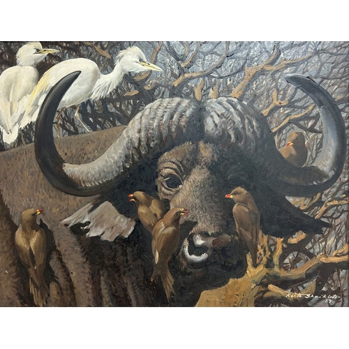 499 - Keith Hope Shackleton (British, 1923-2015) study of a Buffalo ridden by egret and oxpeckers, signed ...
