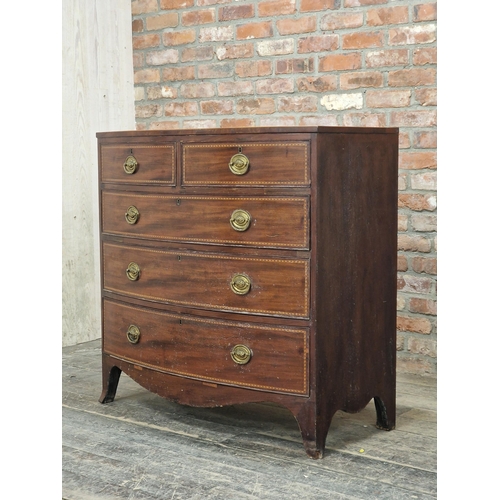 1021 - Georgian mahogany and satin wood inlaid bow front chest of two short over three long graduated drawe... 