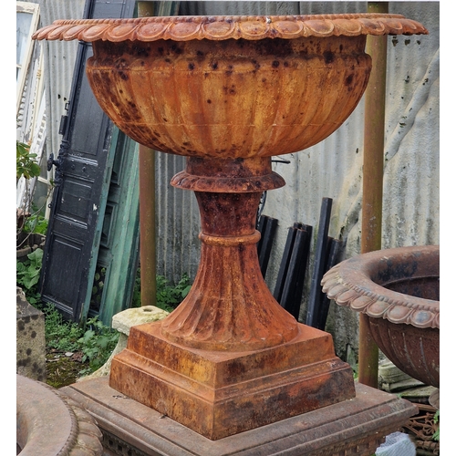 13 - Large cast iron urn with flared egg and dart rim and lobed bowl, raised on a cast iron Adams style p... 