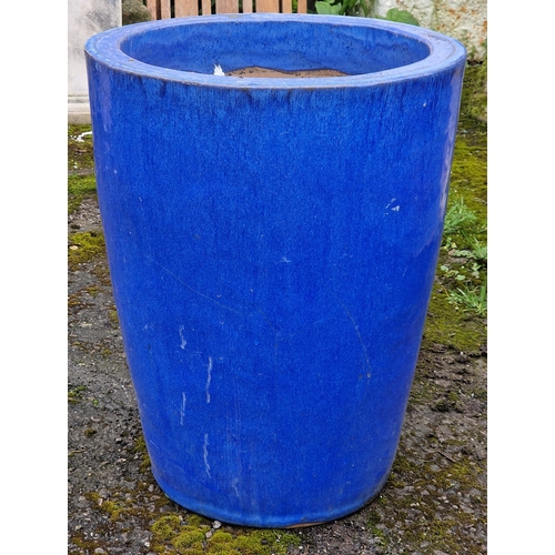 Lot 37        