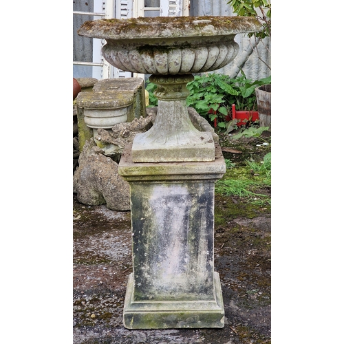 41 - Well weathered reconstituted stone urn with lobed bowl and fluted socle, raised on a square cut plin... 