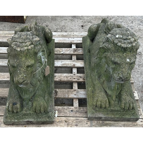 150 - Pair of weathered reconstituted stone recumbent lions with chamfered plinths, H 50cm x W 73cm x D 30... 