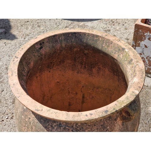 125 - Weathered terracotta twin handled amphora urn, H 69cm x W 55cm