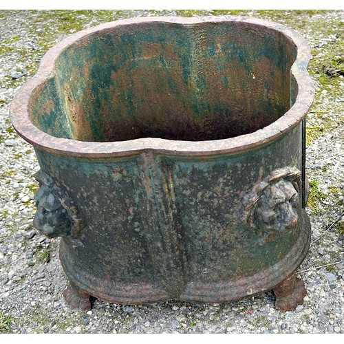 Lot 239       