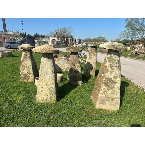 671 - Rare and important set of six tall natural stone staddle stones, the largest 140cm high

Situated at...