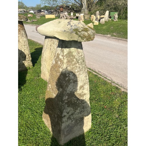 671 - Rare and important set of six tall natural stone staddle stones, the largest 140cm high

Situated at... 