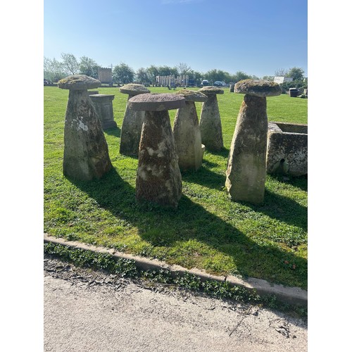 671 - Rare and important set of six tall natural stone staddle stones, the largest 140cm high

Situated at... 