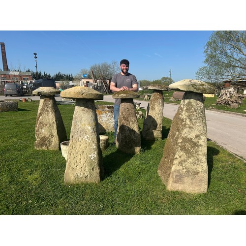 671 - Rare and important set of six tall natural stone staddle stones, the largest 140cm high

Situated at... 