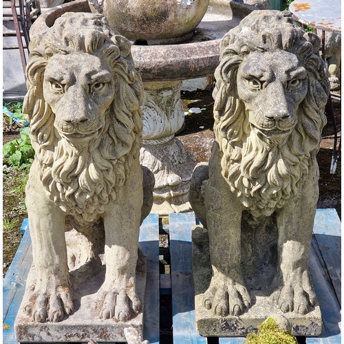 57 - Pair of weathered reconstituted stone seated lions, H 93cm x W 64cm x D 37cm (2) 
Situated at Chaven... 