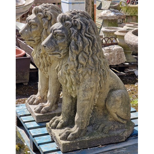57 - Pair of weathered reconstituted stone seated lions, H 93cm x W 64cm x D 37cm (2) 
Situated at Chaven... 