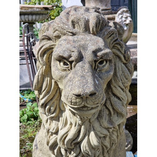 57 - Pair of weathered reconstituted stone seated lions, H 93cm x W 64cm x D 37cm (2) 
Situated at Chaven... 