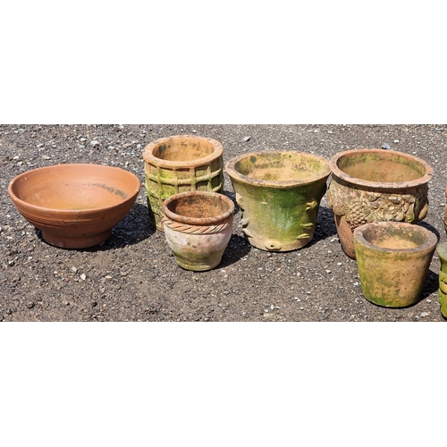 10 - Thirteen terracotta pots of various size and design, largest H 28cm x W 30cm (13)
