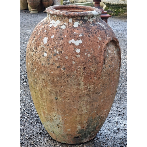 17 - Weathered terracotta olive jar, H 84cm x W 55cm