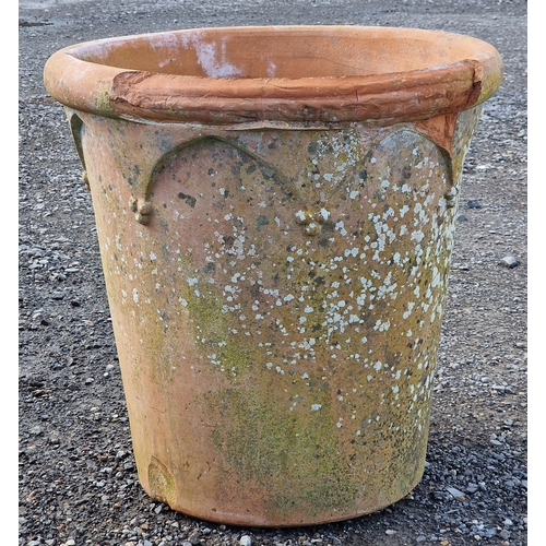 Lot 24        