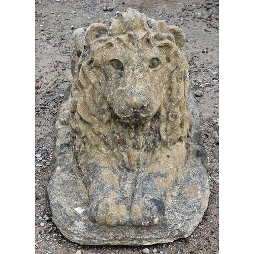 40 - Reconstituted stone recumbent lion statue with glass eyes, H 36cm x W 32cm x D 74cm