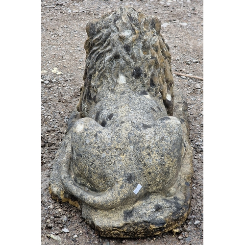 40 - Reconstituted stone recumbent lion statue with glass eyes, H 36cm x W 32cm x D 74cm