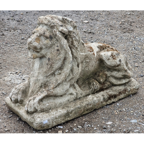 41 - Reconstituted stone statue of a recumbent lion, H 47cm x W 31cm x D 70cm