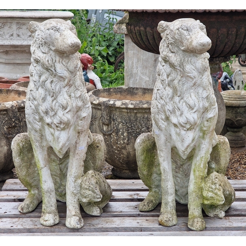 50 - Pair of reconstituted stone statues of seated Borzois dogs, H 74cm x W 34cm x D 60cm (2)