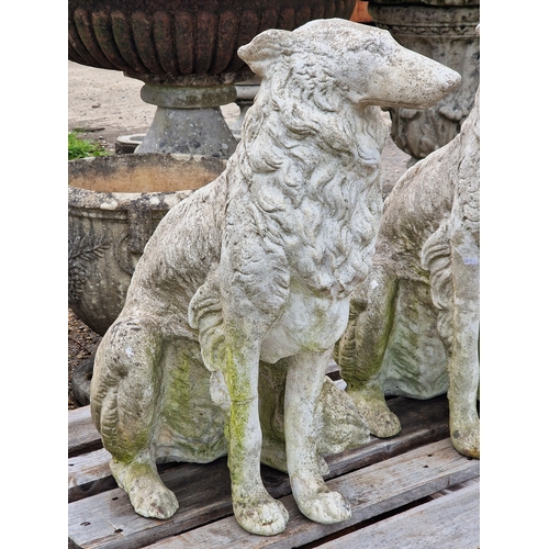 50 - Pair of reconstituted stone statues of seated Borzois dogs, H 74cm x W 34cm x D 60cm (2)