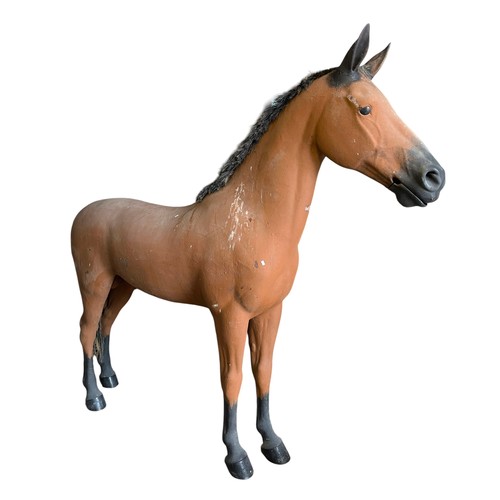 Lot 55        