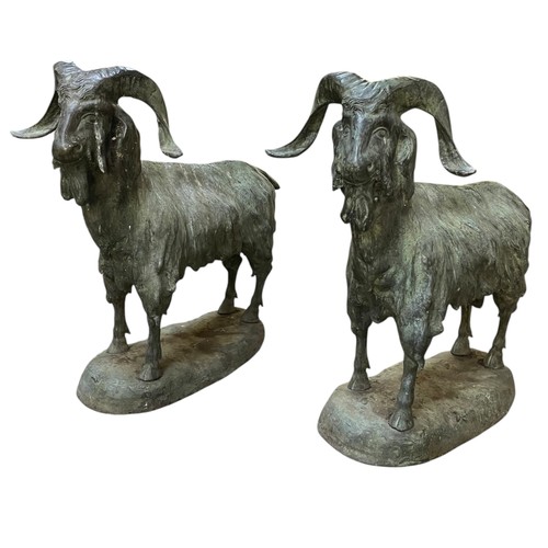 A magnificent large pair of weathered bronze goats, H 84cm x L 82cm approx.